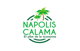 napolis calama